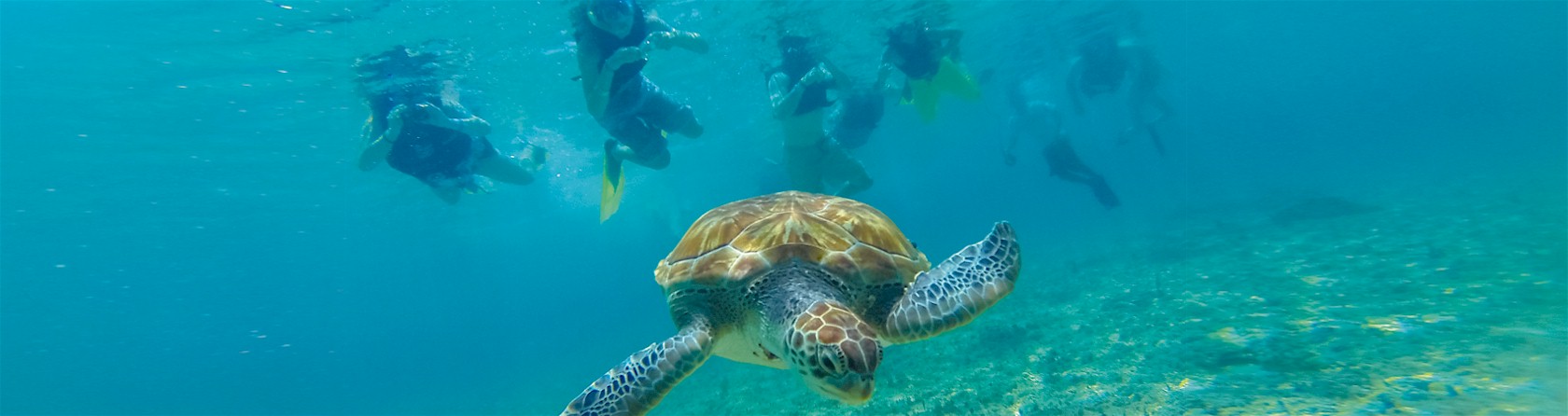 Visit Mexico with Dominicanadventurecompany