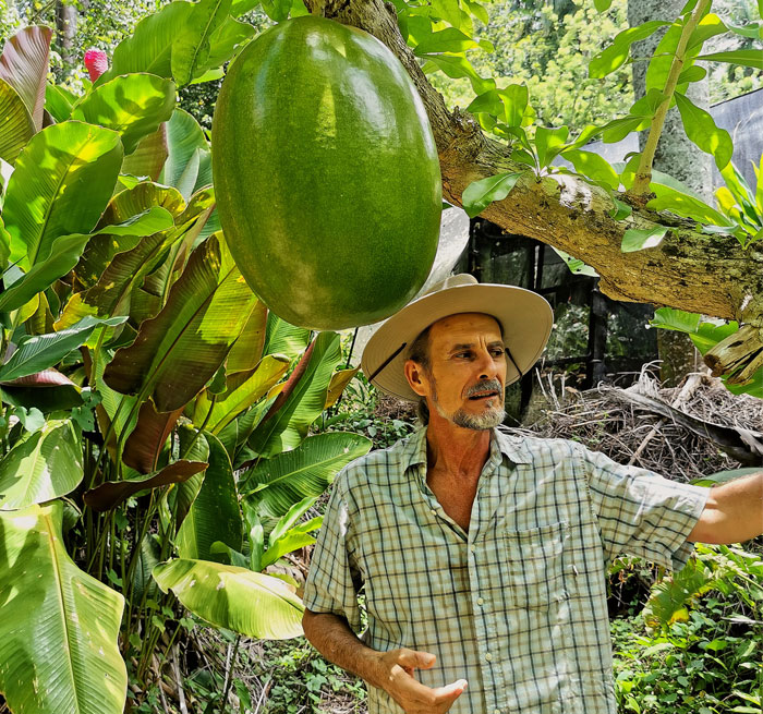 Taino Valley + City Tour from Cabarete, Puerto Plata, Sosua, Cofresi - Maimon - Dominican Republic